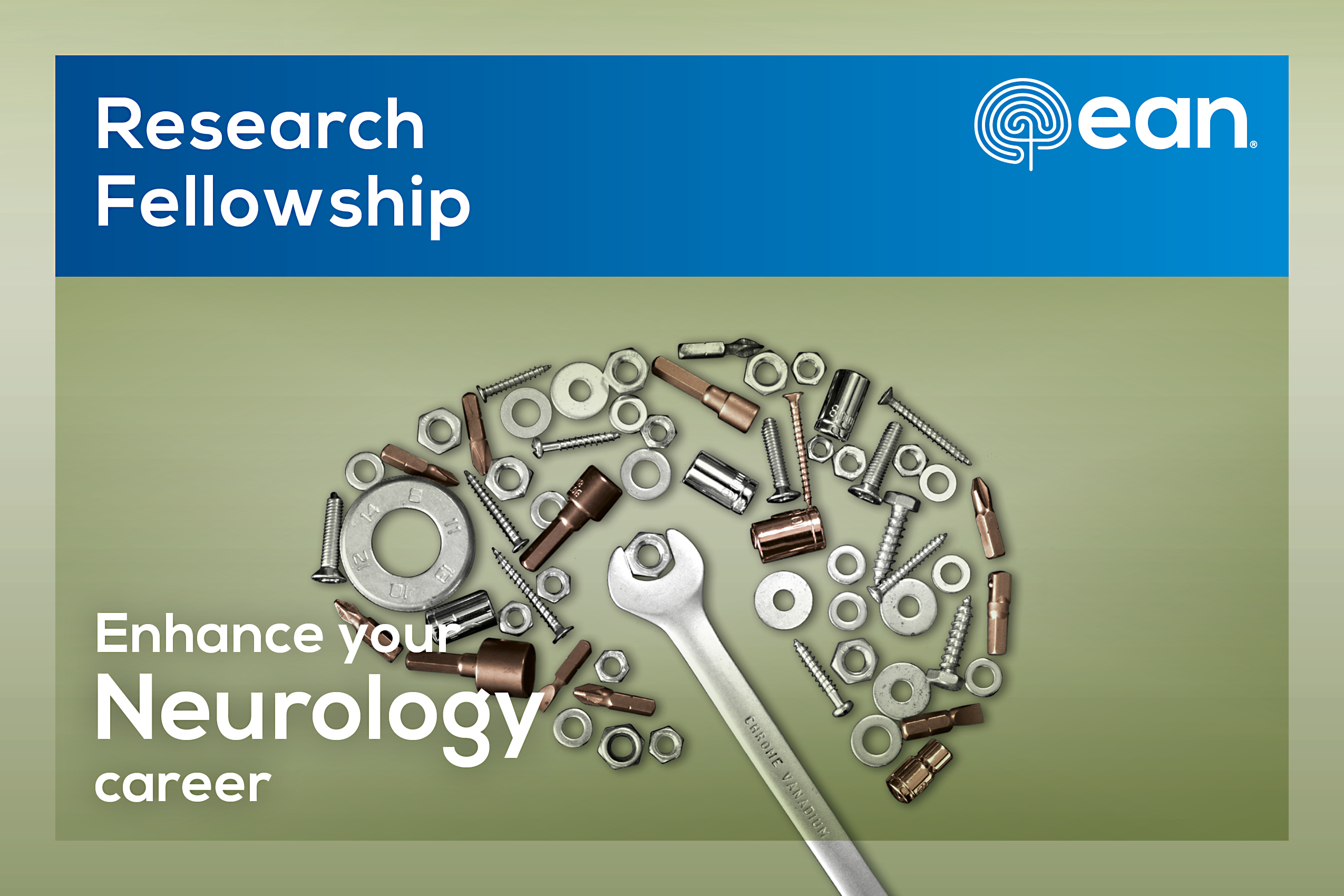 Research Fellowship winners 2024 eanpages